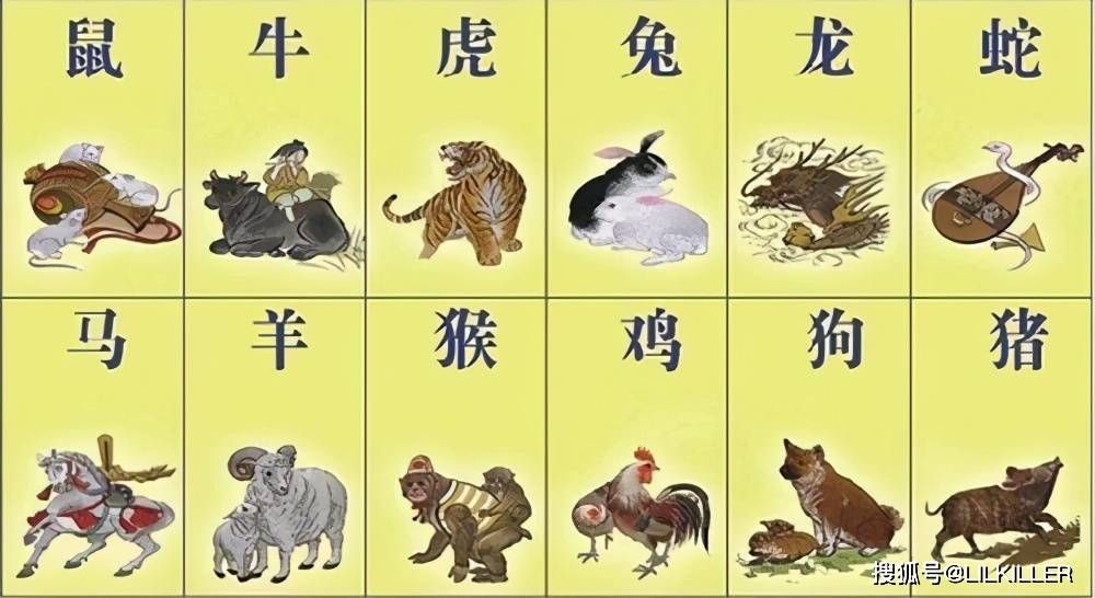 虫躲懒,鸟倦飞,相安无事能有几打一生肖的警惕虚假宣传-全面释义、精准解答解释落实
