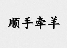 顺手牵羊打一个正确生肖请全面2释义、解释与落实、全面解答解释落实