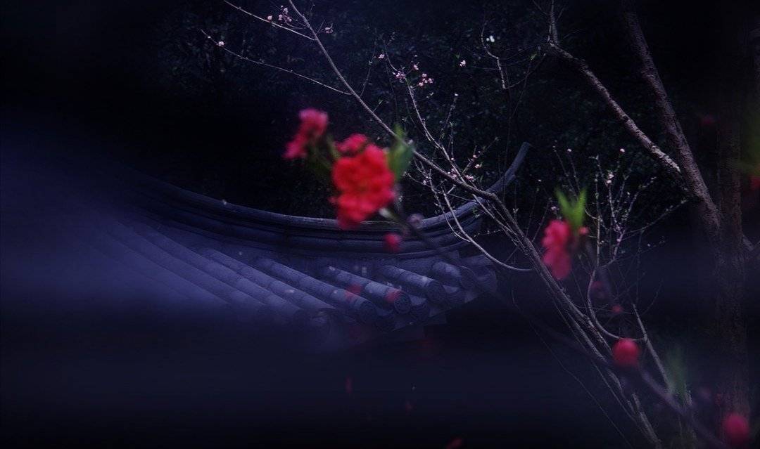 前欢往恨分明在,酒兴诗情大半亡打一生肖，全面释义、构建解答解释落实