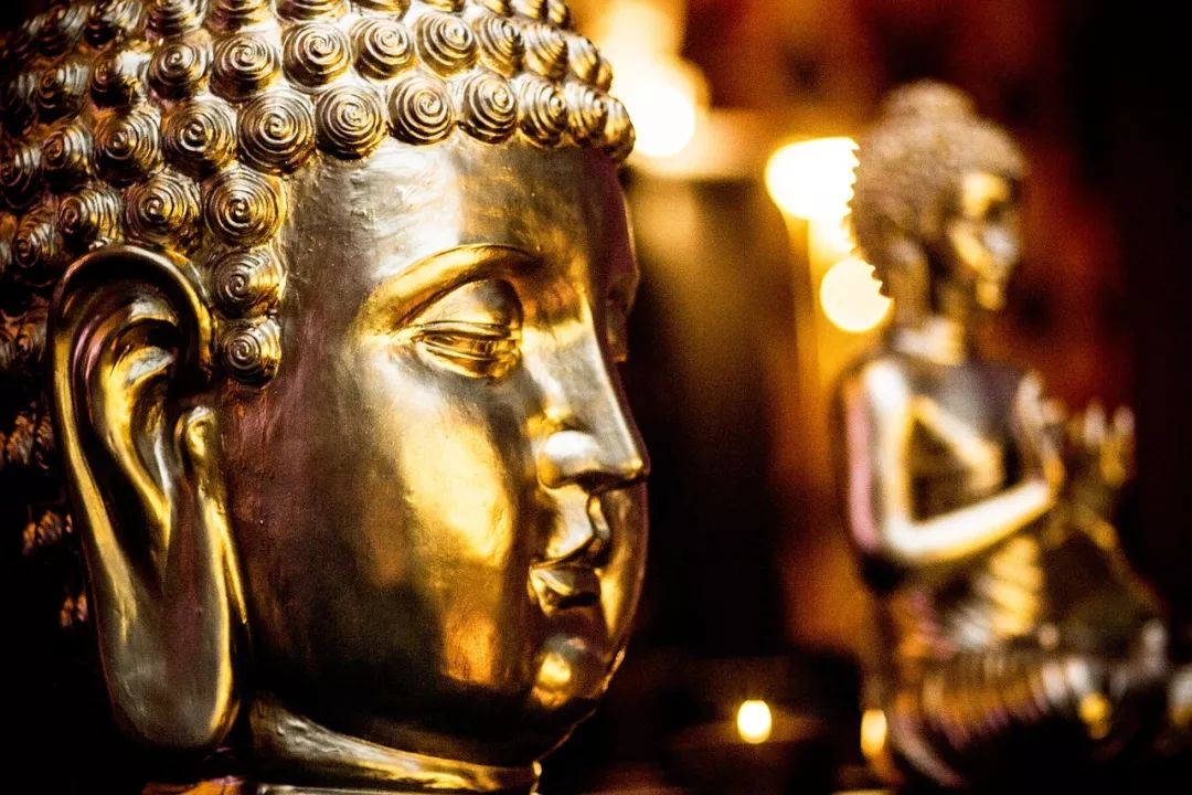 不看僧面看佛面打一正确生肖，详细解答、专家解答解释落实