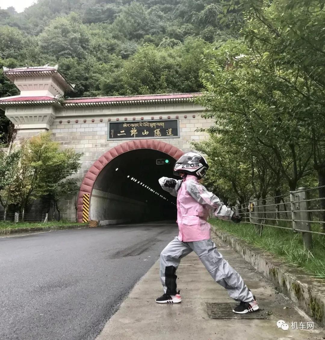 天降甘霖红花开，猪肥鸡进家畜旺打一准确生肖详细解答、解释与落实、构建解答解释落实