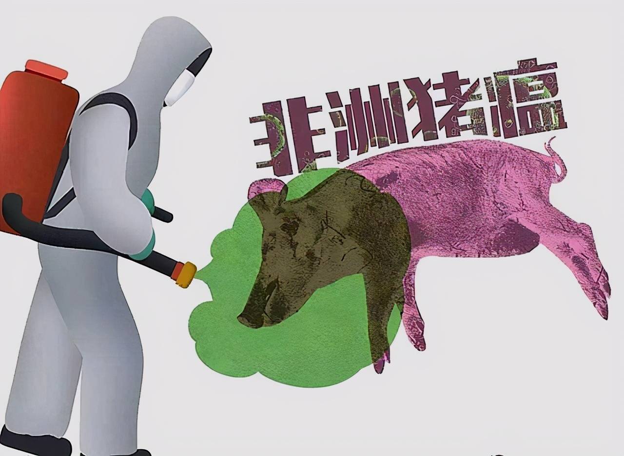 求存活,除异己,非我族类请受死是指什么生肖警惕虚假宣传、全面解答与解释、定量解答解释落实