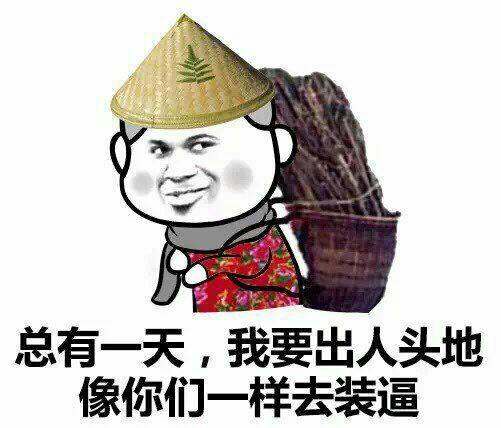 出 人头地想光鲜,能屈能伸走得远猜最佳生肖请全面释义、解释与落实、综合解答解释落实