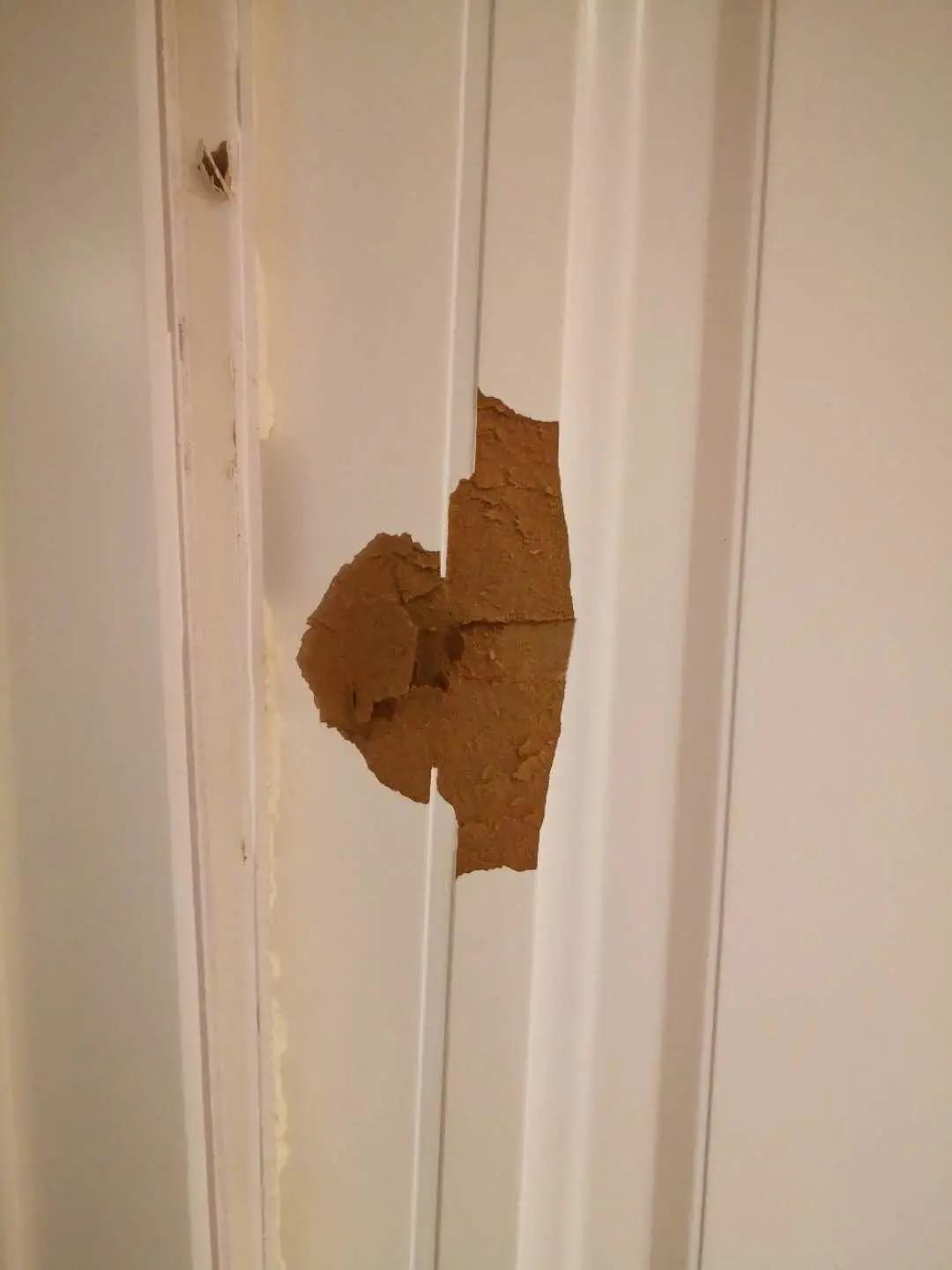 狗拿贼鼠满地跑狐假虎威一家主是什么生肖,警惕虚假宣传落实,定量解答解释落实