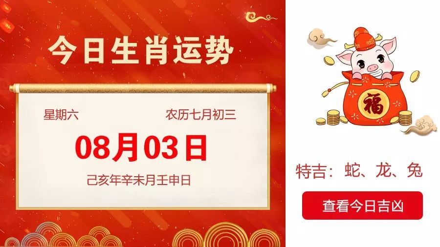 今期生肖三三开,十二生肖最呆萌打生肖请全面2释义、解释与落实、构建解答解释落实